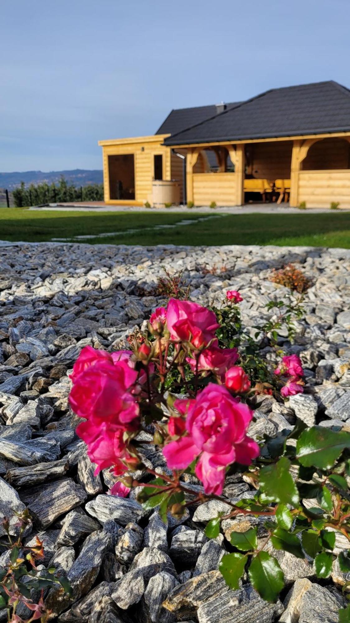 Gorskie Przysiolki W Koniakowie - Dom Z Bala Jodelka Exterior foto